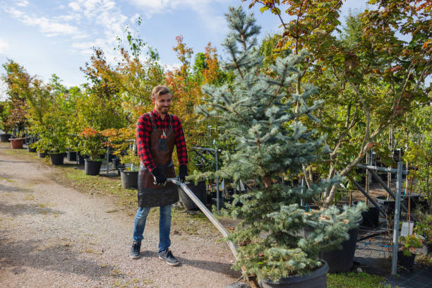 Best Tree and Shrub Care  in Palmyra, WI